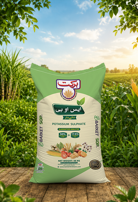 SOP-Granule